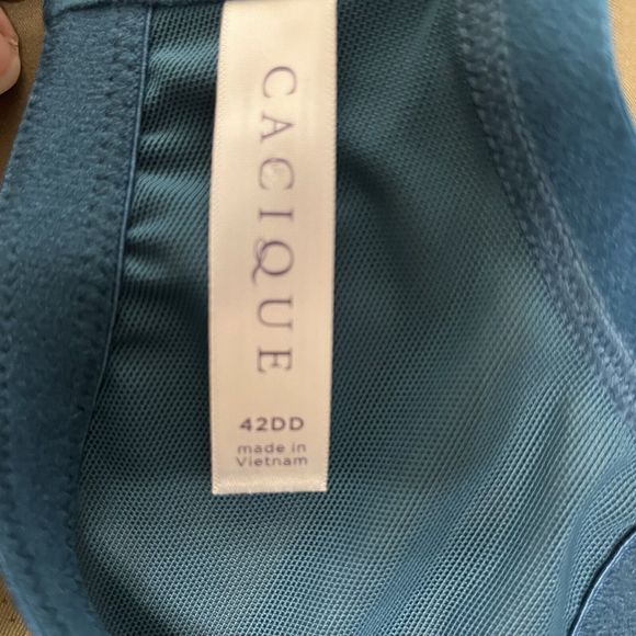 Cacique Lightly Lined Seriously Sexy Cage Style UW Bra Dark Teal Size 42DD NWT - Picture 6 of 7